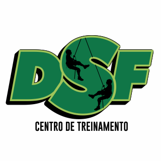 DSF Consultoria e Treinamento